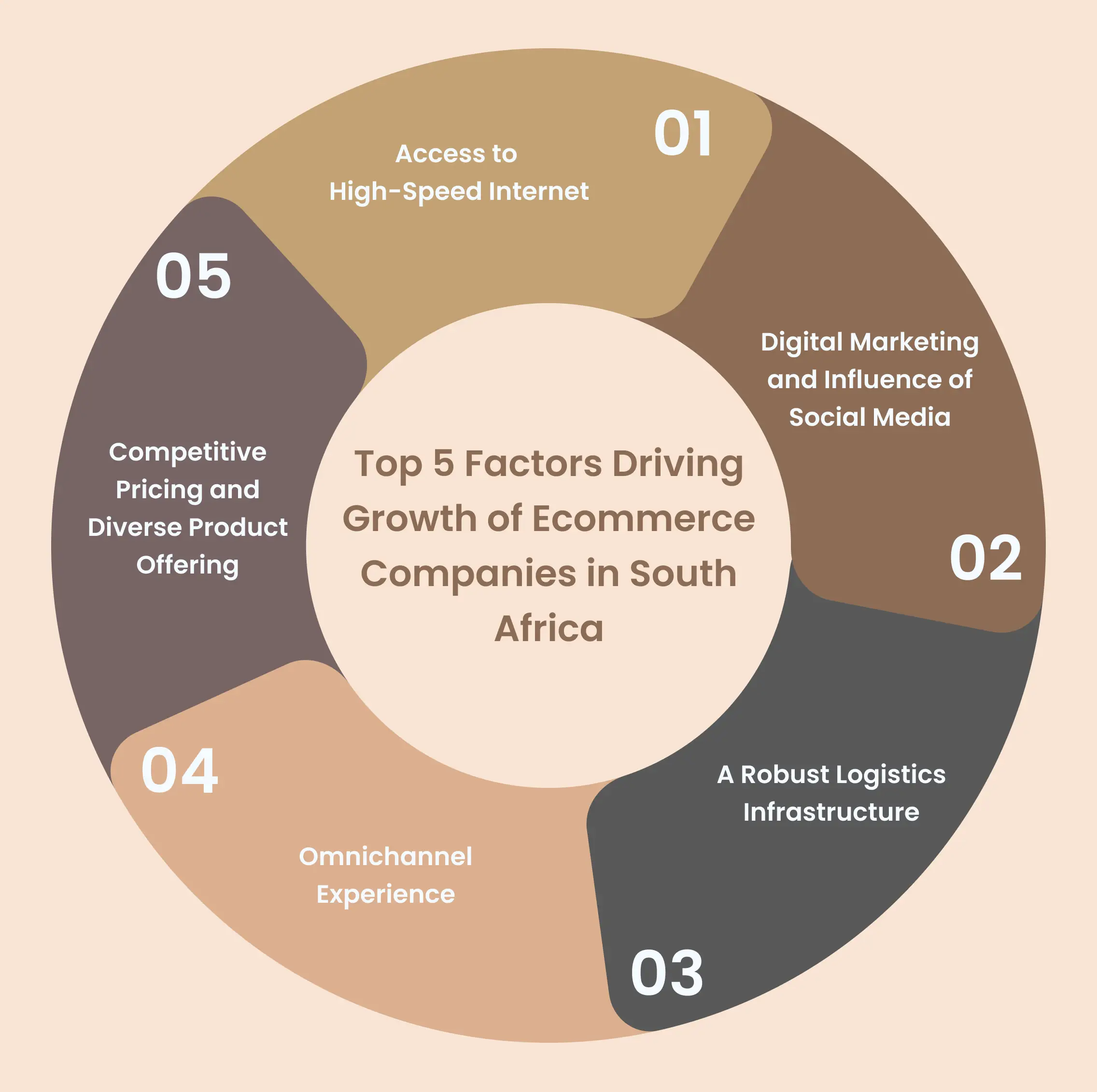 A Visual representation of Top 5 Factors Driving Growth of Ecommerce Companies in South Africa.