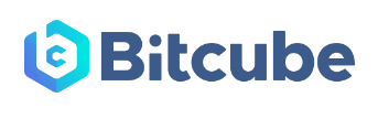 Bit Cube company logo